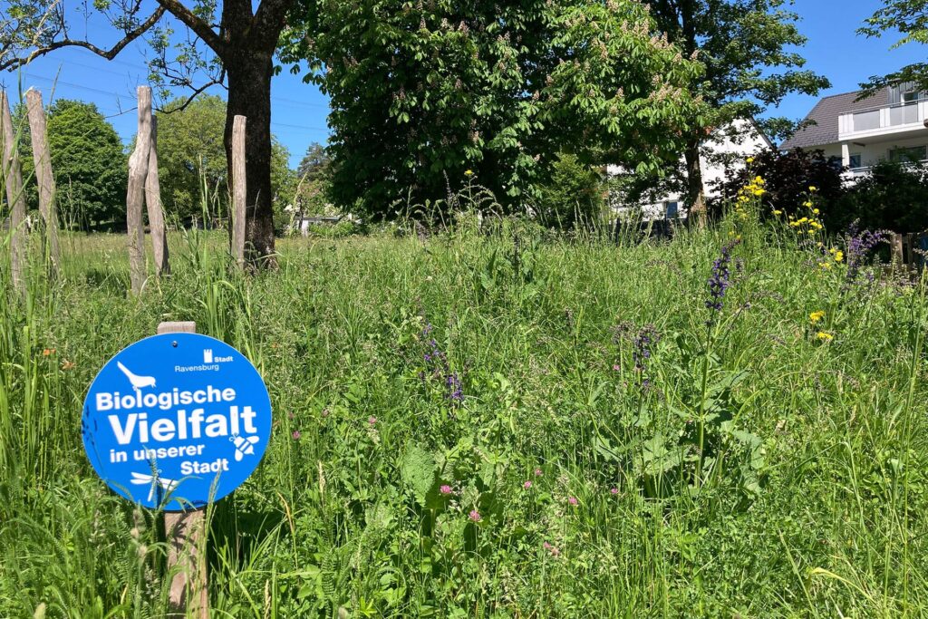 Wiese mit Schild "Biologische Vielfalt in unserer Stadt"